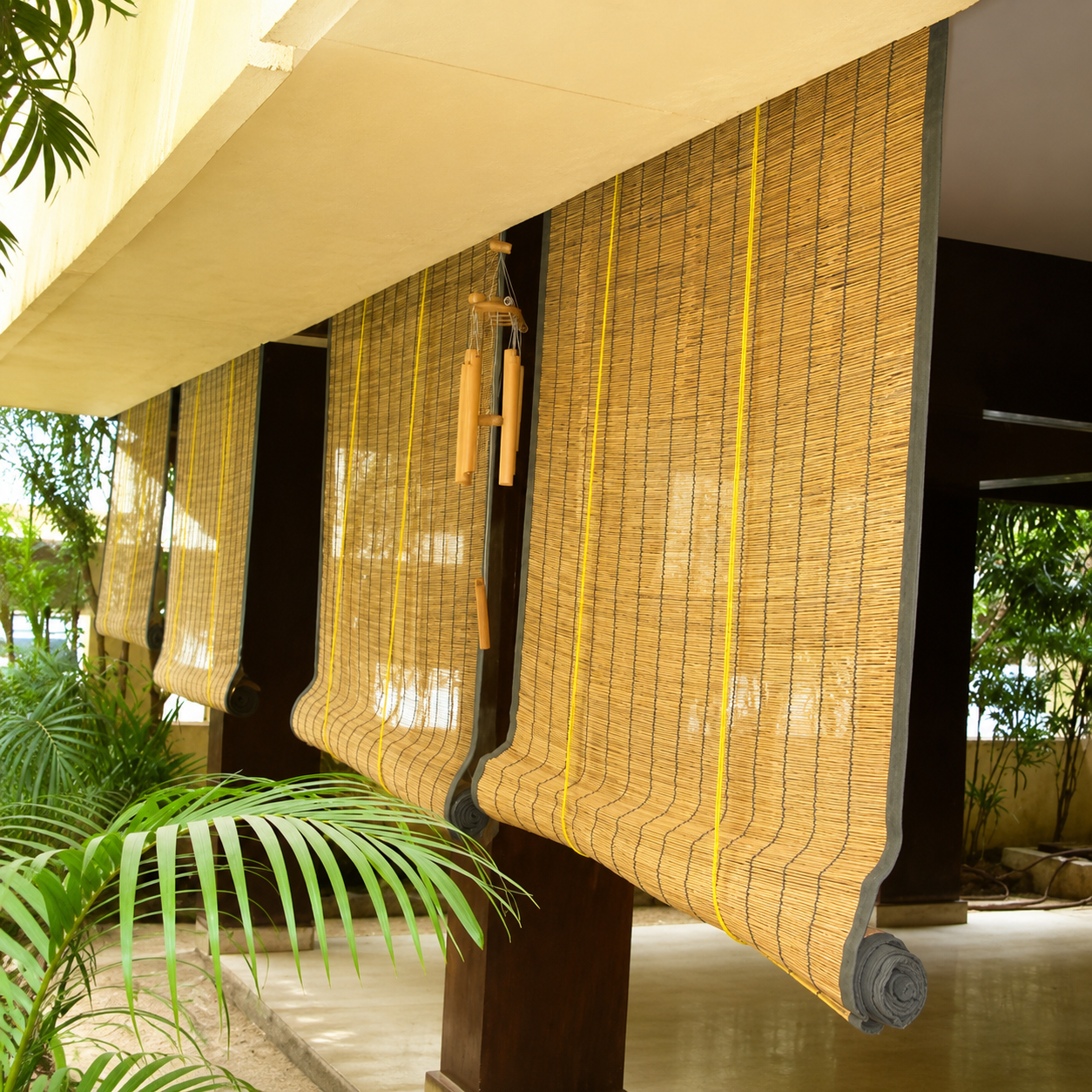 Premium Chick Blinds